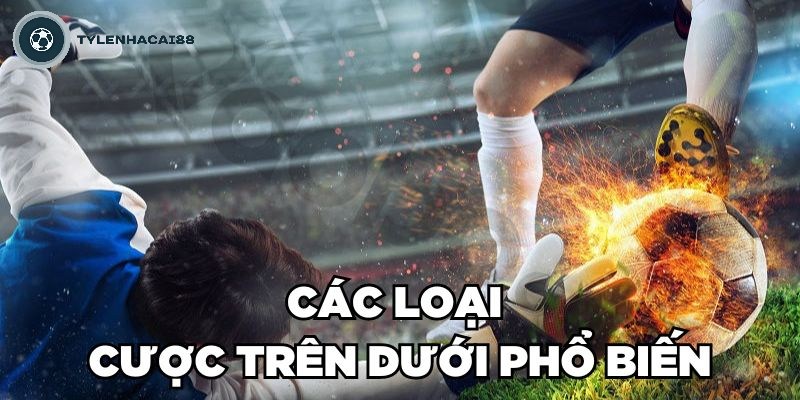 Các loại cược trên dưới phổ biến