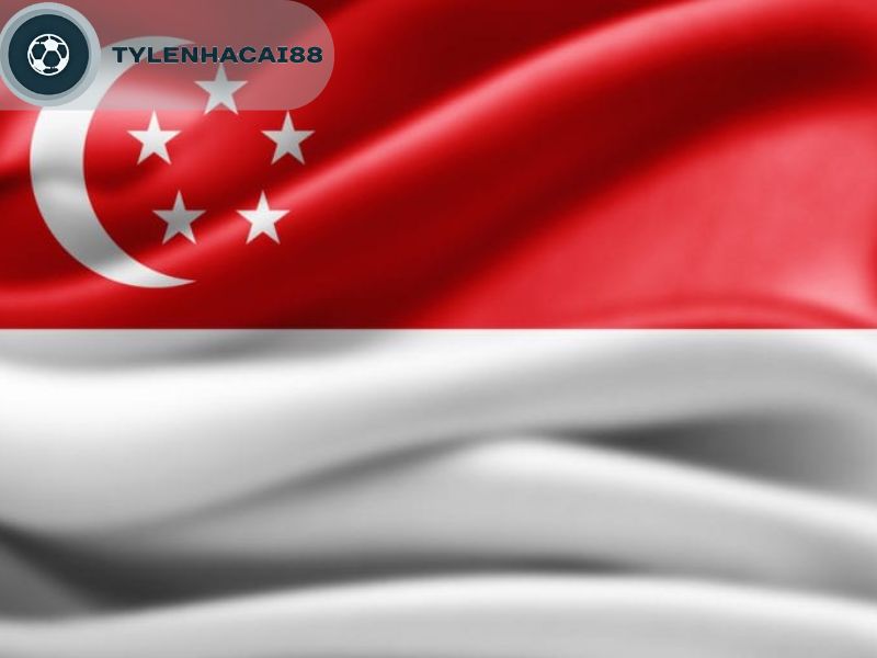 Đội Tuyển Bóng Đá Singapore- Chú Sư Tử Của Đông Nam Á