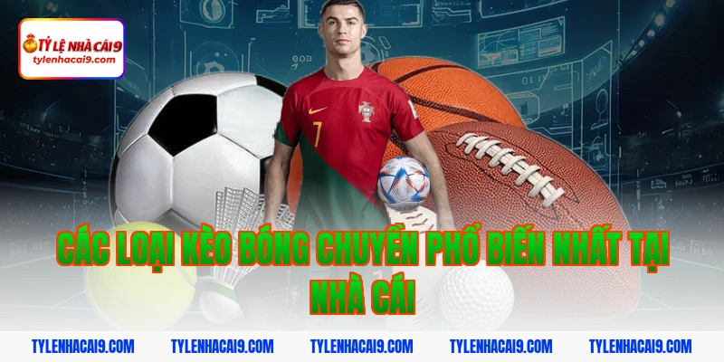 Hướng dẫn cách bắt kèo bóng chuyền chắc thắng cho tân thủ 3 Các loại kèo bóng chuyền phổ biến nhất tại nhà cái