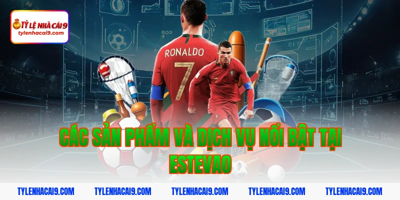 Thần đồng Estevao là ai mà khiến cả châu Âu phải phát sốt 3 Các sản phẩm và dịch vụ nổi bật tại estevao