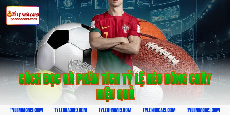 Tỷ Lệ Kèo Bóng Chày 3 Cách đọc và phân tích tỷ lệ kèo bóng chày hiệu quả