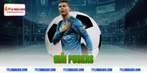 Chiêm ngưỡng siêu phẩm bàn thắng đoạt giải FIFA Puskas 15 giải puskas