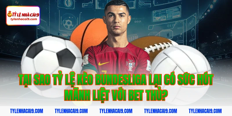 Tỷ Lệ Kèo Bundesliga 2 Tại sao tỷ lệ kèo bundesliga lại có sức hút mãnh liệt với bet thủ?