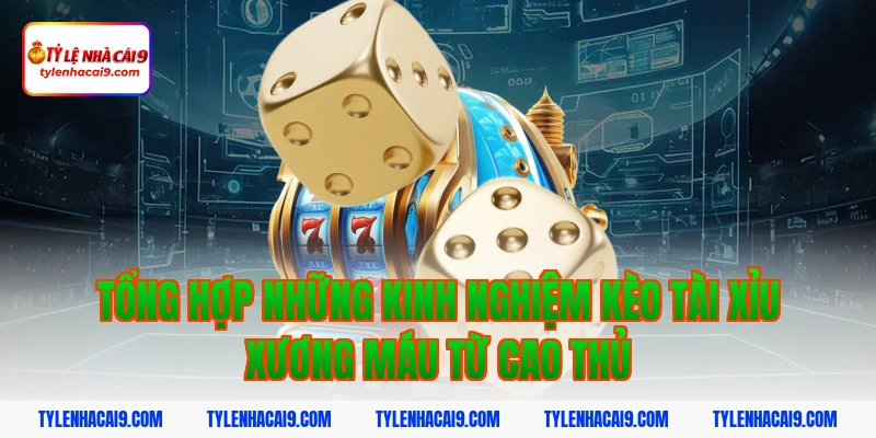 Kinh Nghiệm Kèo Tài Xỉu: Bí Quyết Soi Kèo Over/Under Luôn Thắng 3 Tổng hợp những kinh nghiệm kèo tài xỉu xương máu từ cao thủ