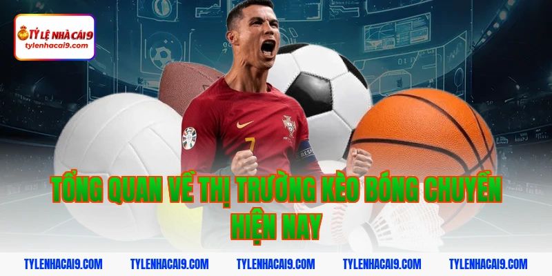 Hướng dẫn cách bắt kèo bóng chuyền chắc thắng cho tân thủ 2 Tổng quan về thị trường kèo bóng chuyền hiện nay
