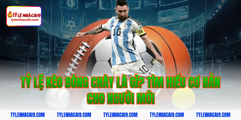 Tỷ Lệ Kèo Bóng Chày 2 Tỷ lệ kèo bóng chày là gì? Tìm hiểu cơ bản cho người mới