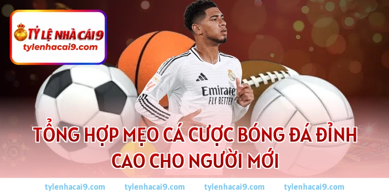 Mẹo cá cược bóng đá 2026: Bí kíp soi kèo thắng lớn mỗi ngày 1 Tổng hợp mẹo cá cược bóng đá đỉnh cao cho người mới